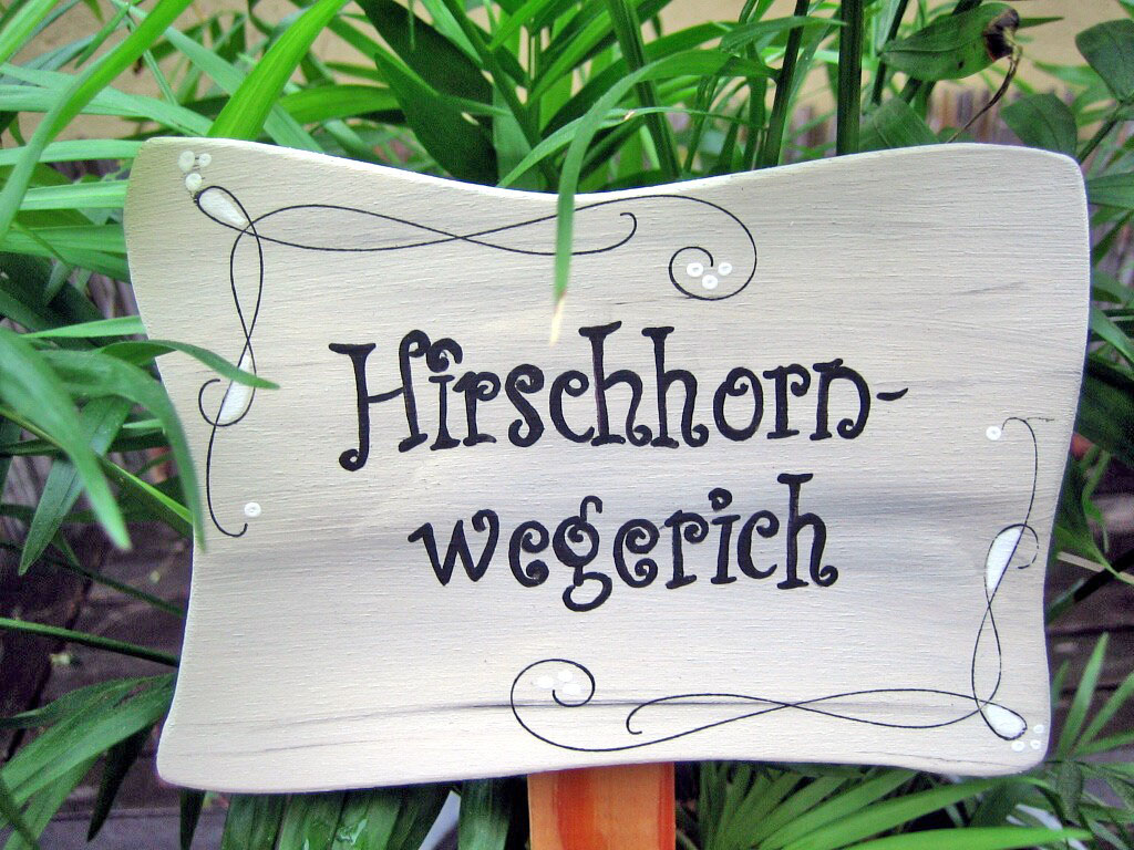 Pflanzstecker Nostalgie Hirschhornwegerich